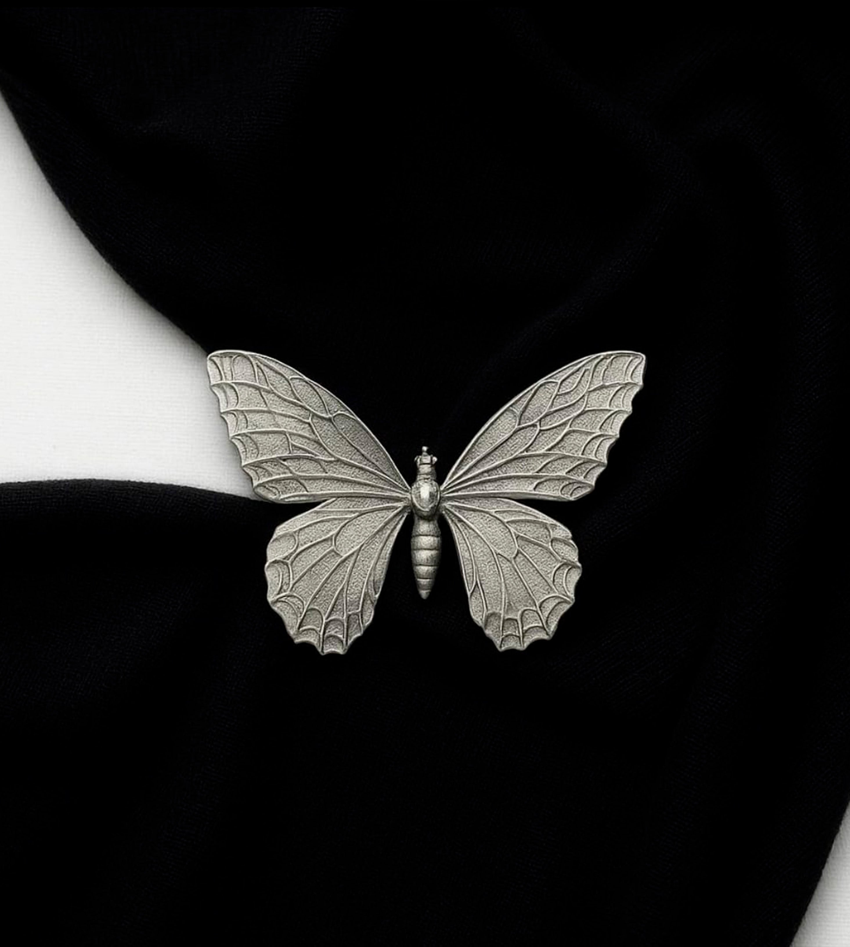 Coleção Descobertas